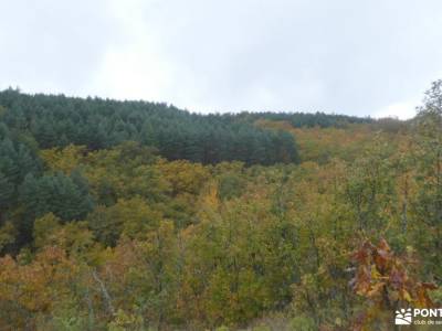 Robledales de Riaza - Ermita de Hontanares; las majadas cuenca cercedilla madrid pueblos con encanto